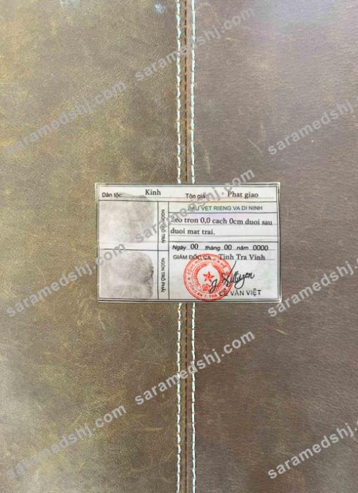 Vietnam ID photolook BACK